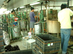 深圳市平湖海利豐塑膠制品廠 專注塑料制品，鑄就品質(zhì)未來(lái)